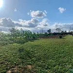 Bio Mediterraneo Lejlighed San Martín Sarroca