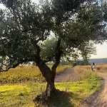 Bio Mediterraneo Lejlighed