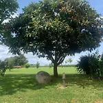 Bio Mediterraneo Lejlighed San Martín Sarroca