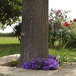 Bio Mediterraneo