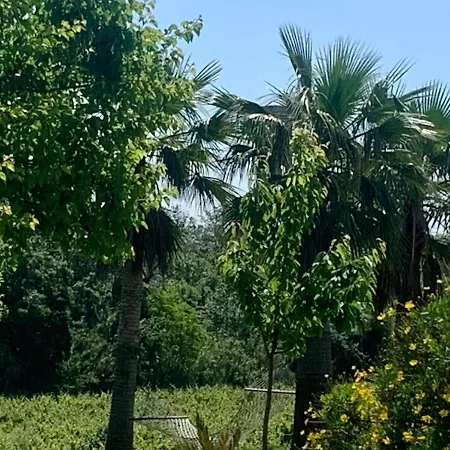 Bio Mediterraneo *