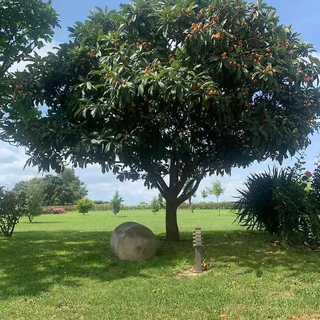 Bio Mediterraneo アパート San Martín Sarroca