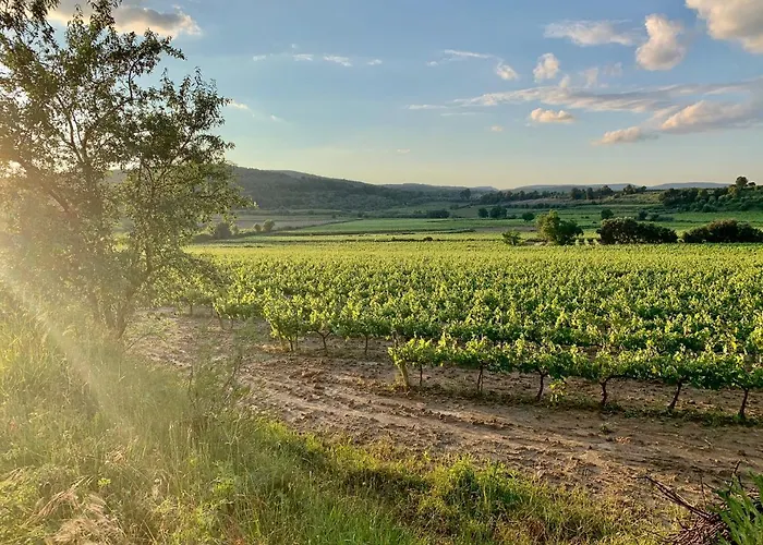 Apartamento Bio Mediterráneo *