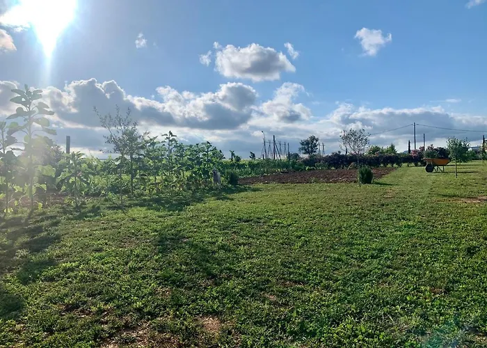 Bio Mediterráneo Apartamento Sant Martí Sarroca