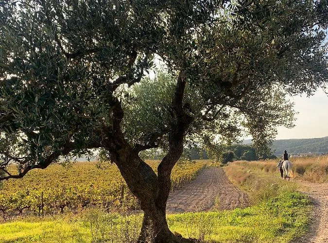 Bio Mediterráneo Apartamento