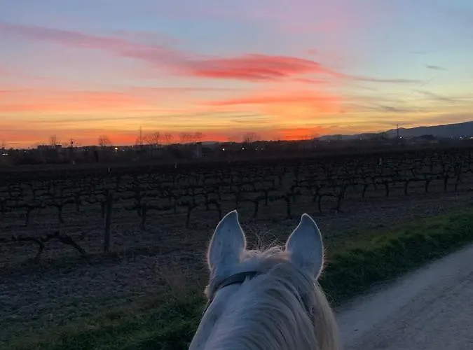 Bio Mediterráneo Apartamento Sant Martí Sarroca