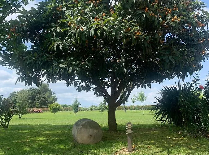 Bio Mediterráneo Apartamento Sant Martí Sarroca