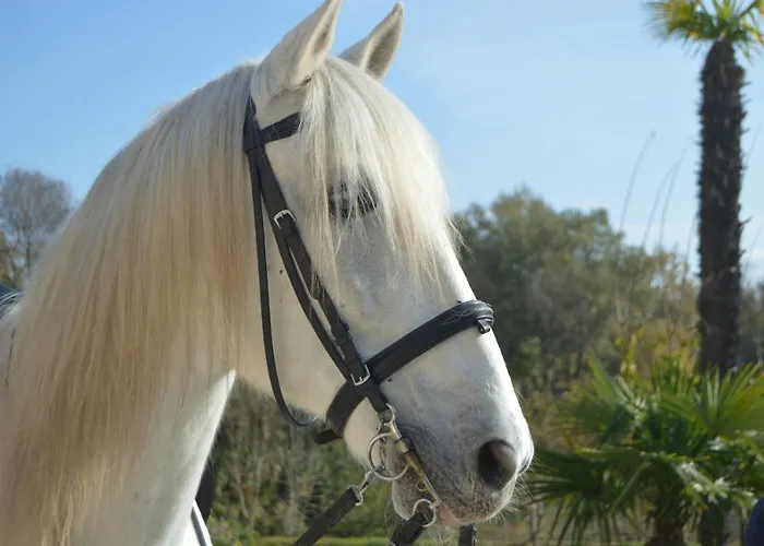 Bio Mediterráneo Apartamento Sant Martí Sarroca